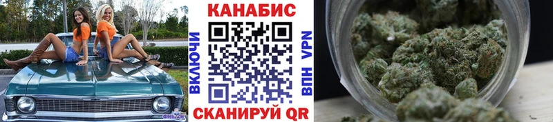 Конопля Amnesia  Кочубеевское 